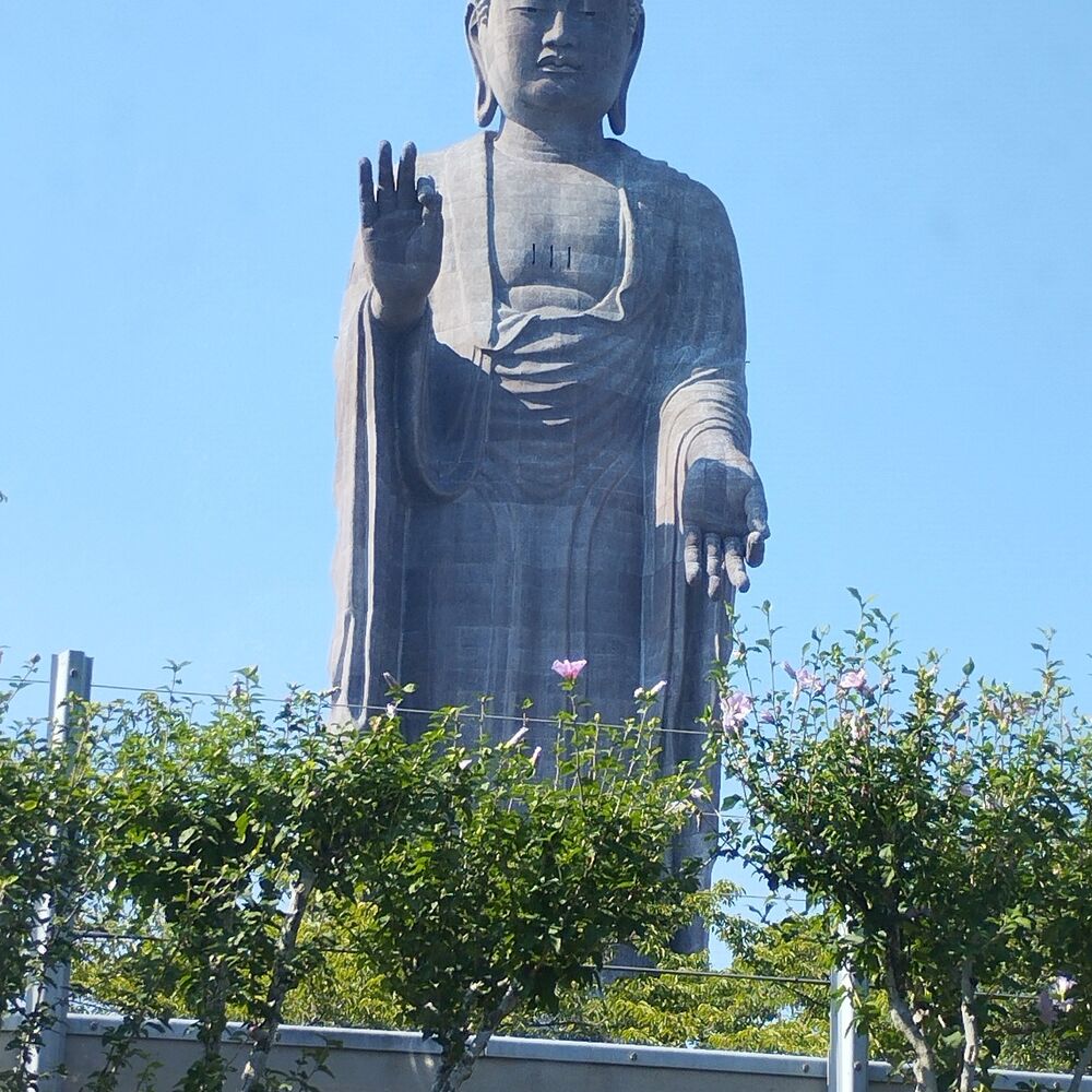 画像1355